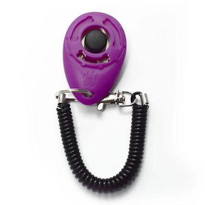 Adjustable Wrist Strap Sound Key Chain