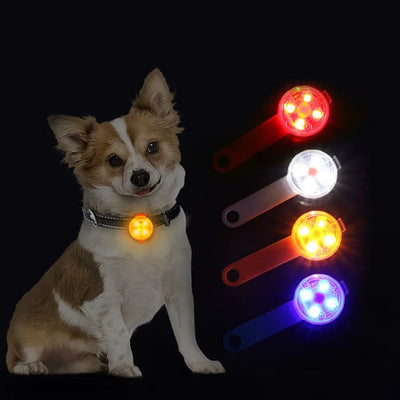 Dogs Collars Anti Loss Pendant