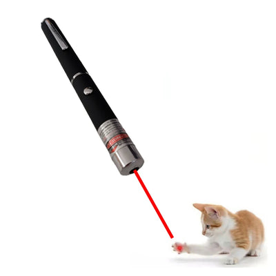 2 in 1 Mini Laser Pointer for Pets and Cats,