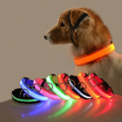 Nylon LED Night Safety Flashing Glow In The Dark Dog Leash Dogs Luminous Fluorescent Pet Dog Collar thunderthump