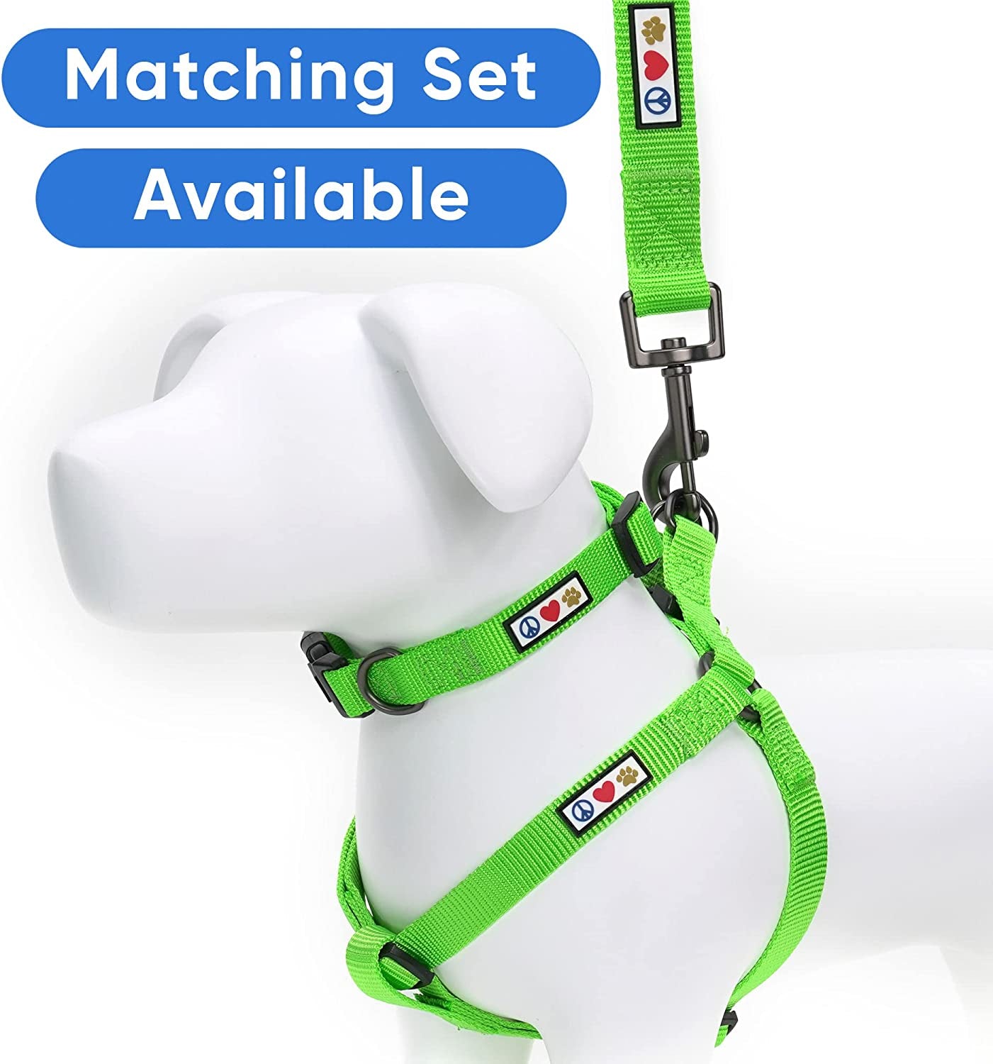 6 FT Solid Color Leash for Puppy - Comfortable Handle Dog Training Leash - 6 Ft - Extra Small/Small - Green