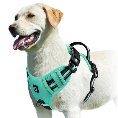 Adjustable Soft Padded Pet Vest