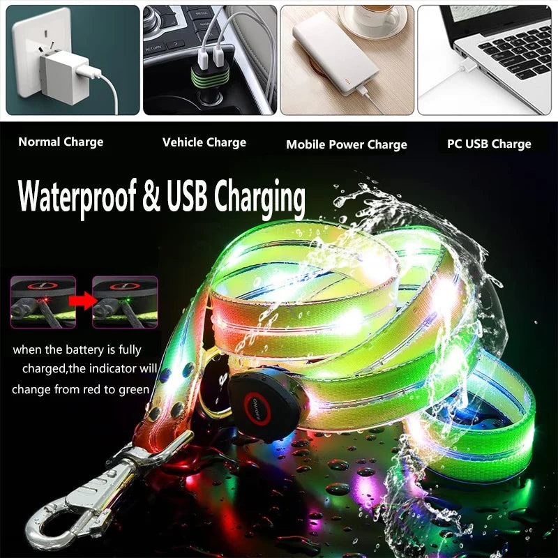 Led Light Up Dog Leash Walking Safety