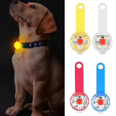 Dog collar, loss collar, weatherproof LED safety light