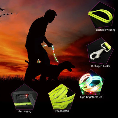 Led Light Up Dog Leash Walking Safety