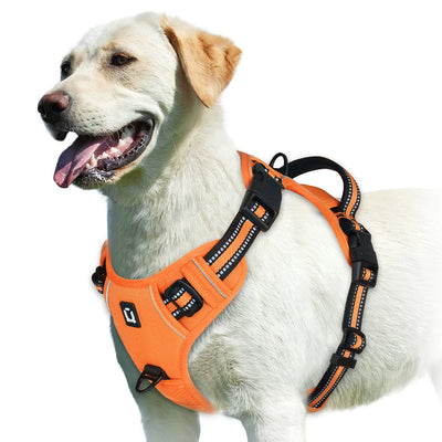 Adjustable Soft Padded Pet Vest