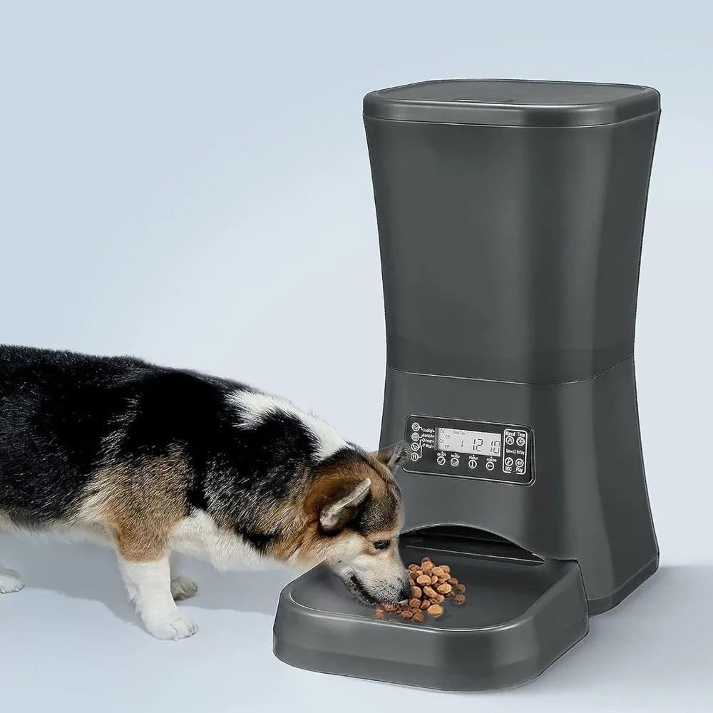 9L Dog Feeders for Large Dogs