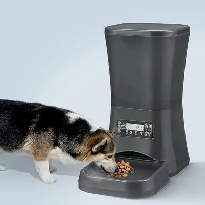 9L Dog Feeders for Large Dogs