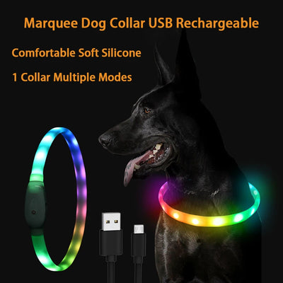 RGB Discolor Glowing Collar For Dogs