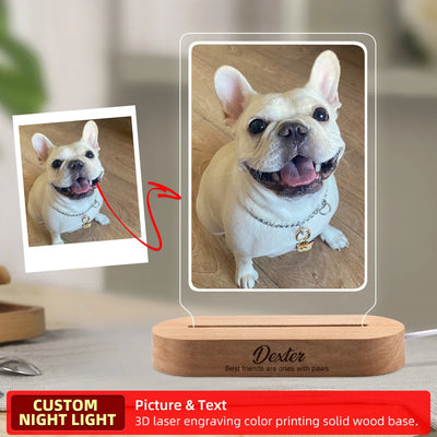 Custom Dog Photo Night Light Pet Memoral Gift Light Up Pet Memorial Plaque Cat Photo Gift Personalized Gift for Pet Loss thunderthump
