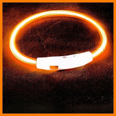 Rechargeable 40/50/70cm Dog Collar
