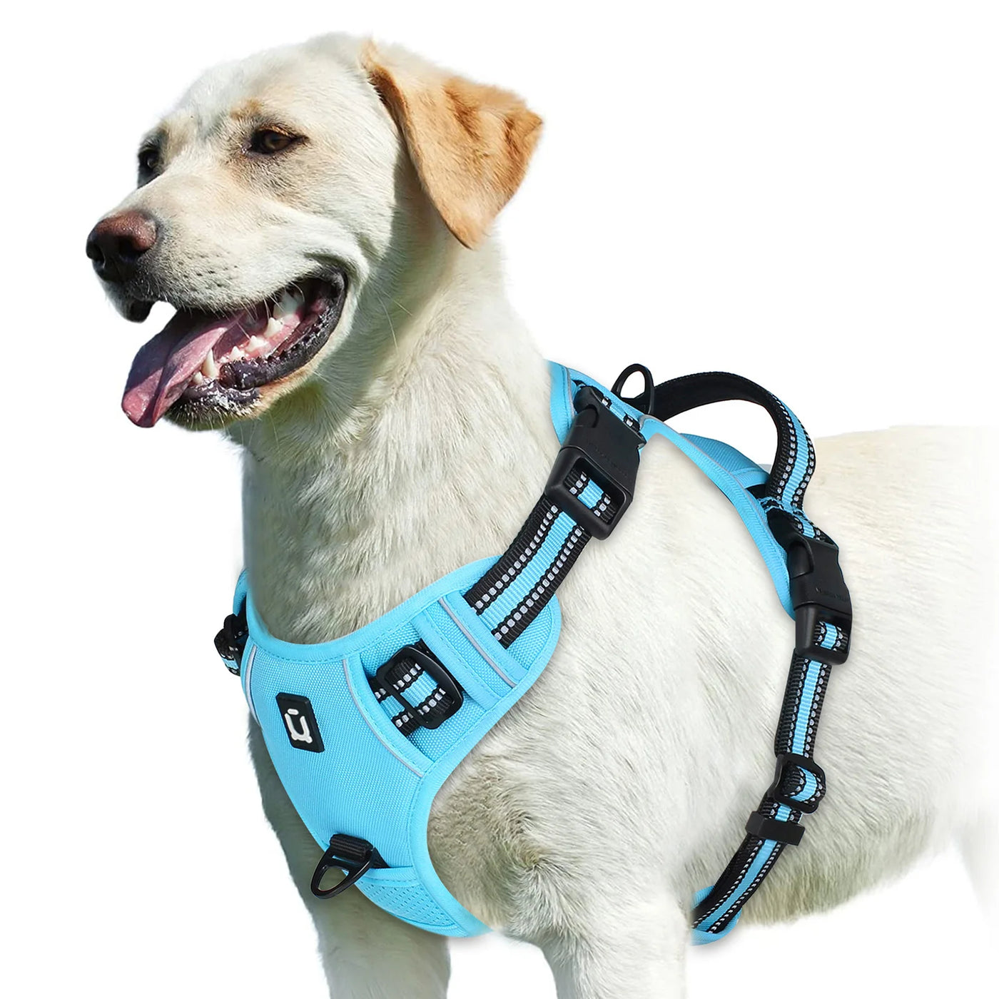 Adjustable Soft Padded Pet Vest