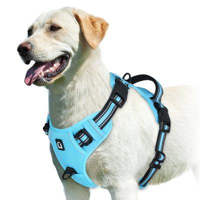 Adjustable Soft Padded Pet Vest