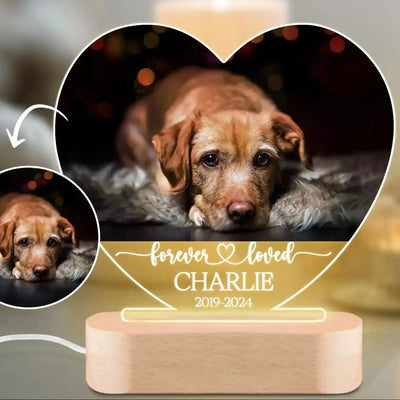 Custom Dog Photo Night Light Pet Memoral Gift Light Up Pet Memorial Plaque Cat Photo Gift Personalized Gift for Pet Loss thunderthump