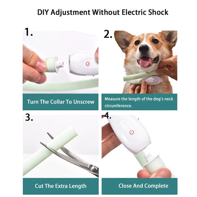 RGB Discolor Glowing Collar For Dogs