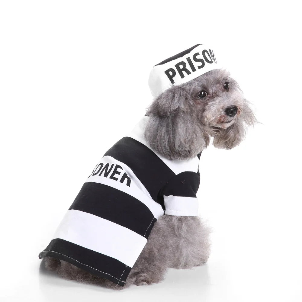 E-Commerce Pet Clothes Christmas Old Man Dog Clothes Halloween Pet Clothes Pumpkin Pet Costume Wizard Clothes