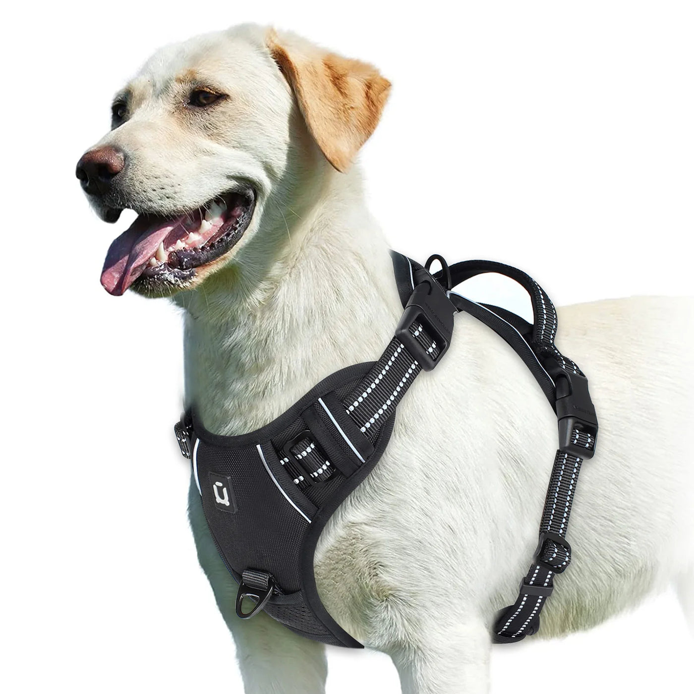 Adjustable Soft Padded Pet Vest