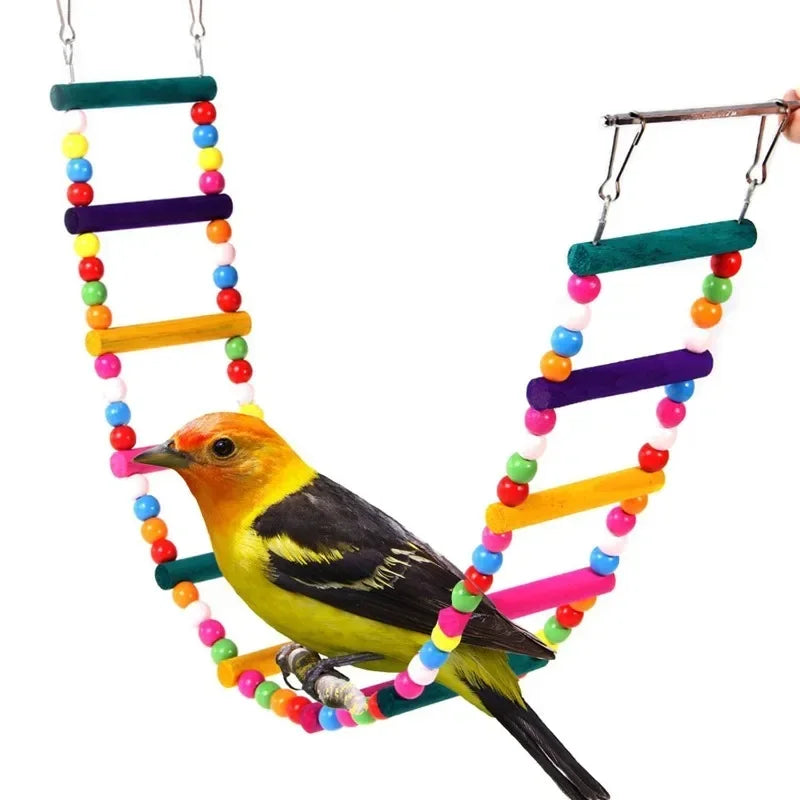 Bird Toys Set Swing Chewing Training Toys