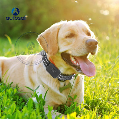 Autosali VP07 4G Dog Tracker
