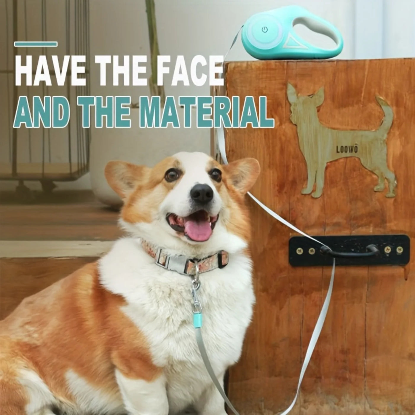 Durable Retractable Dog Leash with Safety Flashlight - One-Hand Operation, Auto-Retract for Small/Medium Dogs