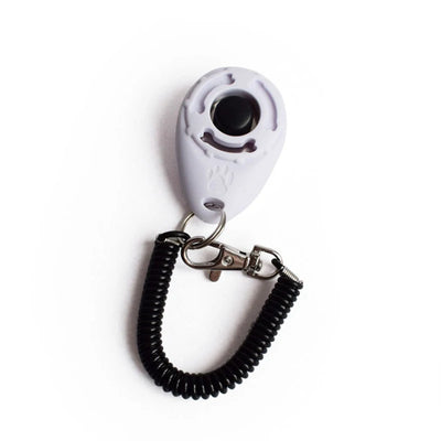 Adjustable Wrist Strap Sound Key Chain
