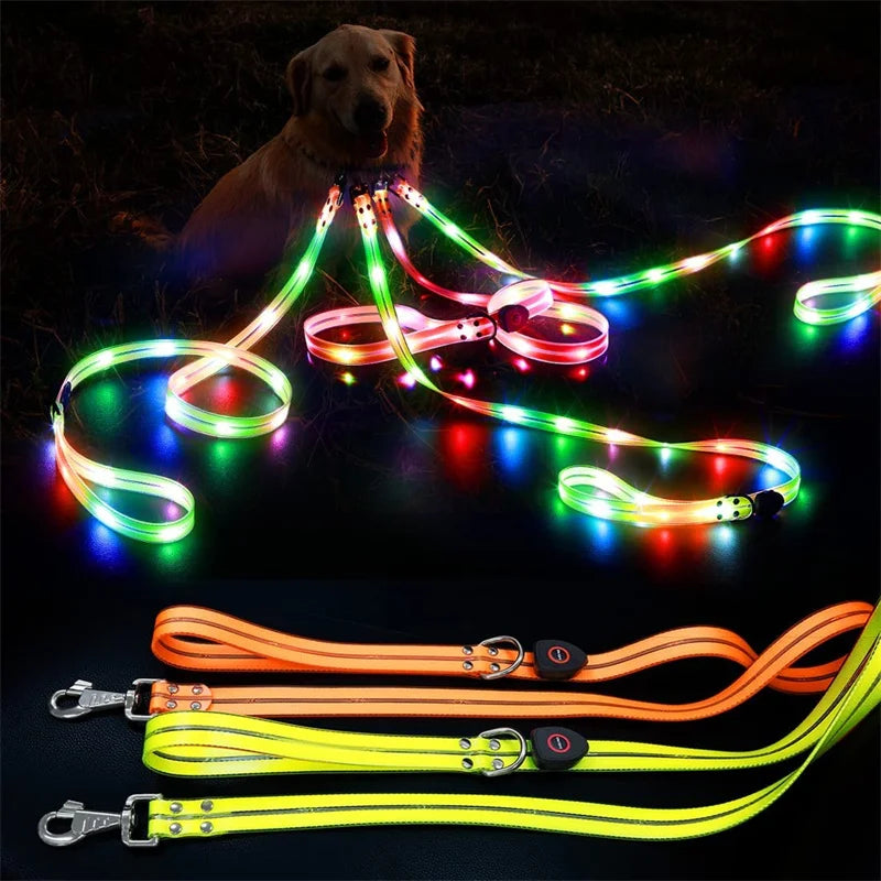 Led Light Up Dog Leash Walking Safety