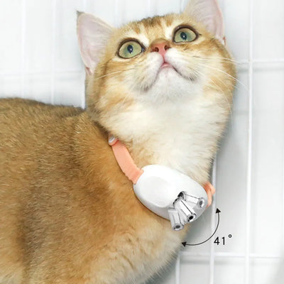 Electric Smart Amusing Kitten Collar