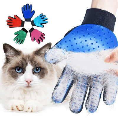 Cat grooming glove for cat