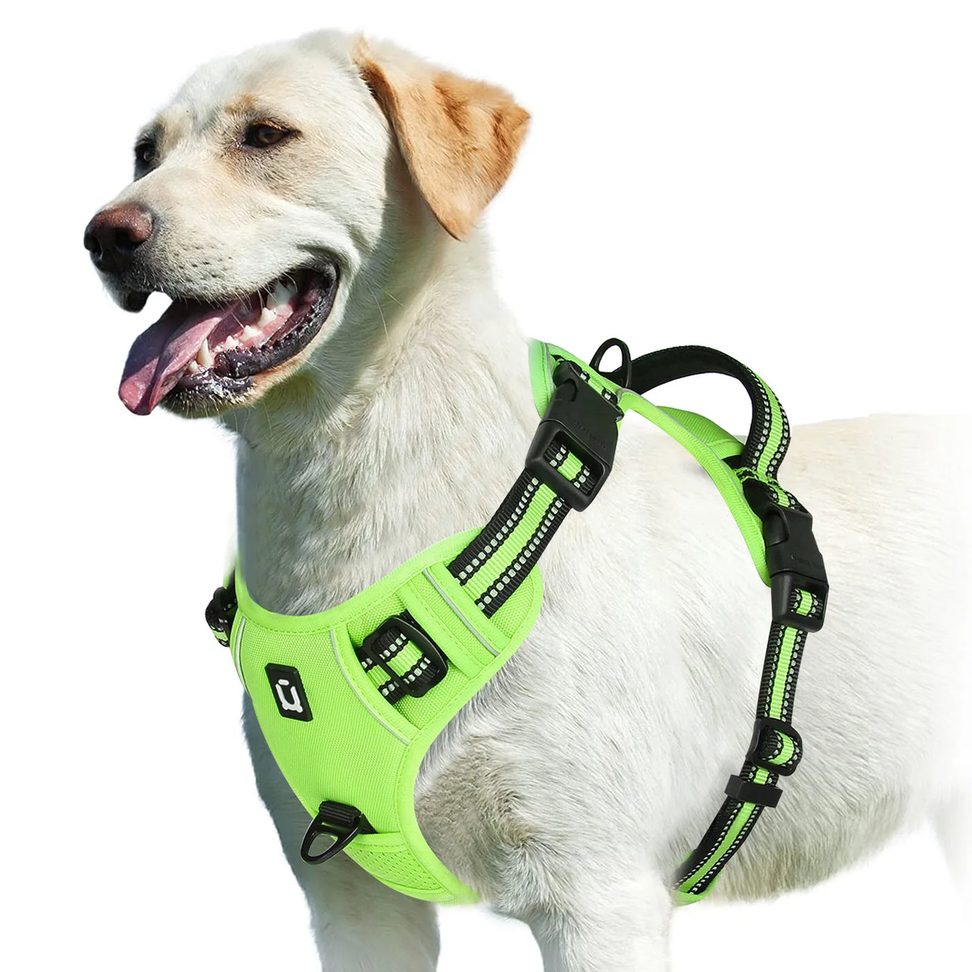 Adjustable Soft Padded Pet Vest
