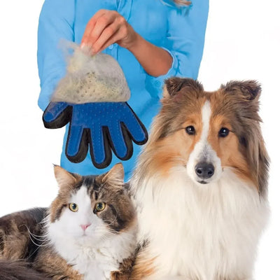 Cat grooming glove for cat